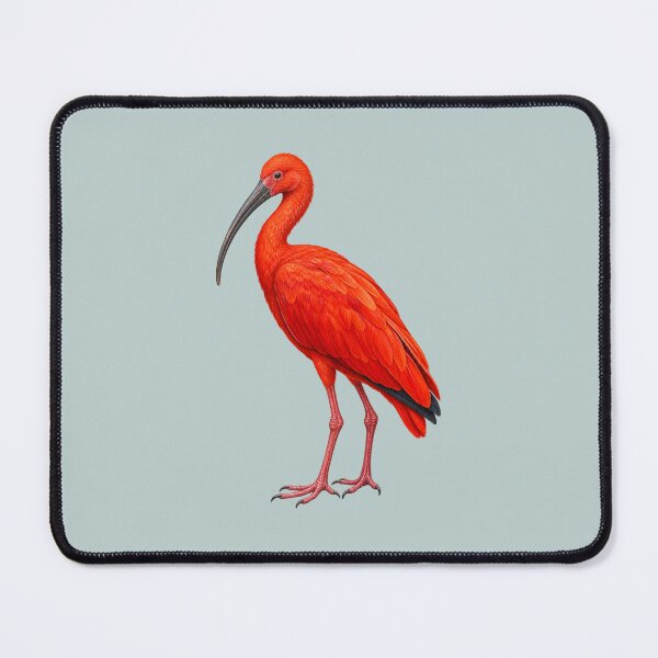 Item preview, Scarlet ibis designed and sold by RAMIRELLI.