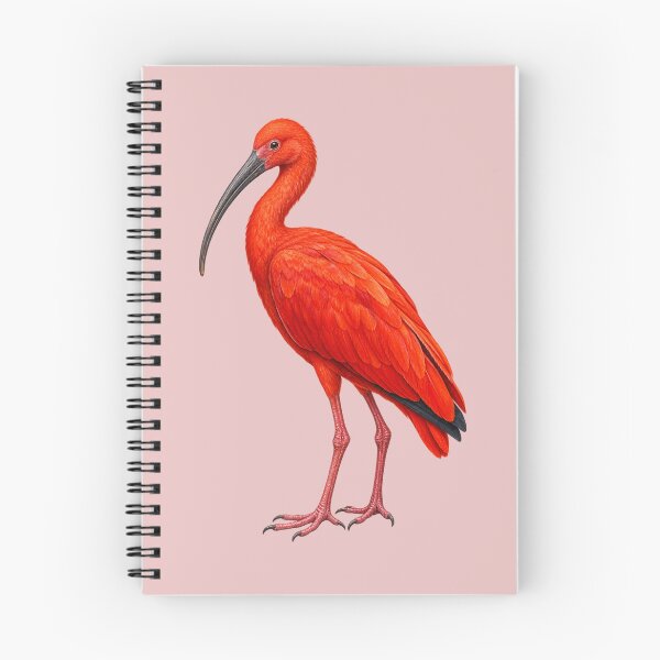 Item preview, Scarlet ibis designed and sold by RAMIRELLI.
