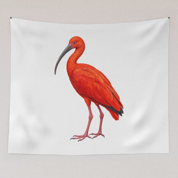 Item preview, Scarlet ibis designed and sold by RAMIRELLI.
