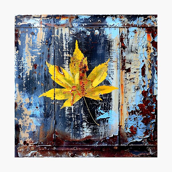 Aperçu de l'œuvre surface rouillée de feuille d'érable créée et vendue par G-M-Designs.