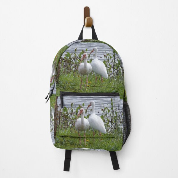 Item preview, Ibis blancos americanos designed and sold by SquaresArt.