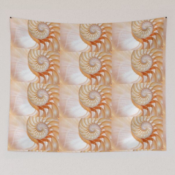 Item preview, shell Nautilus shell fibonacci golden ratio background designed and sold by cheekylorns.