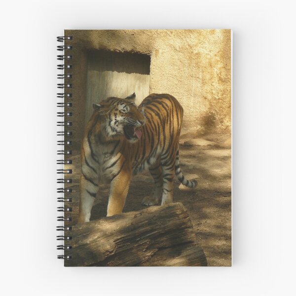 Item preview, Tiger yawning at the crow designed and sold by Thalia88.