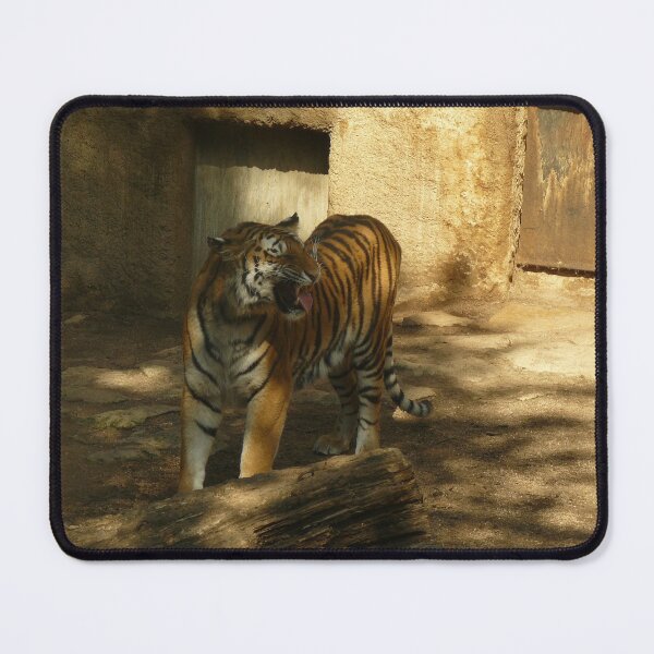 Item preview, Tiger yawning at the crow designed and sold by Thalia88.