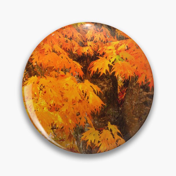 Item preview, Vibrant Autumn sweet gum Tree designed and sold by jklune.