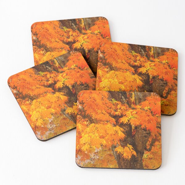 Item preview, Vibrant Autumn sweet gum Tree designed and sold by jklune.