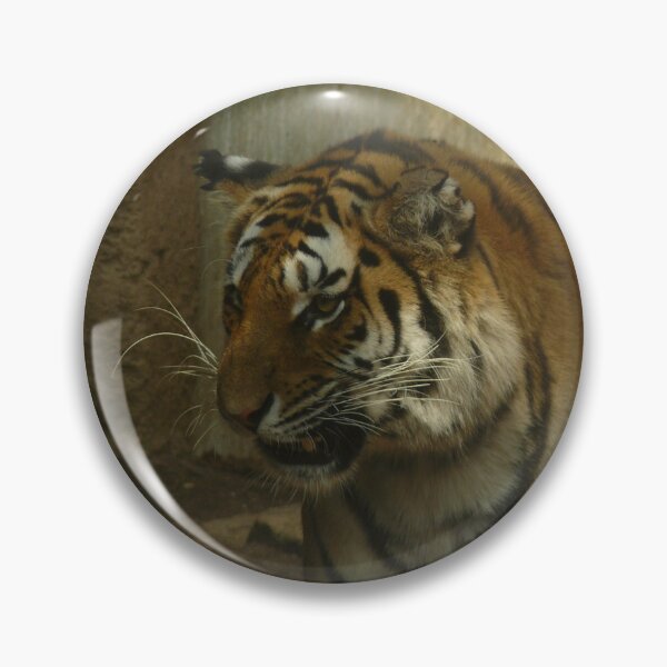 Item preview, Feline beauty designed and sold by Thalia88.
