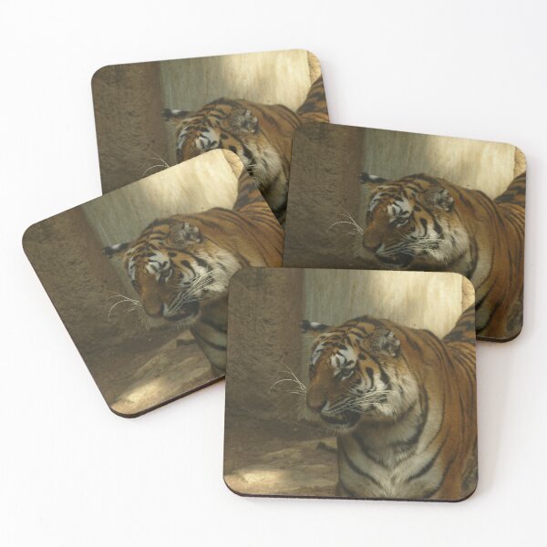 Item preview, Feline beauty designed and sold by Thalia88.