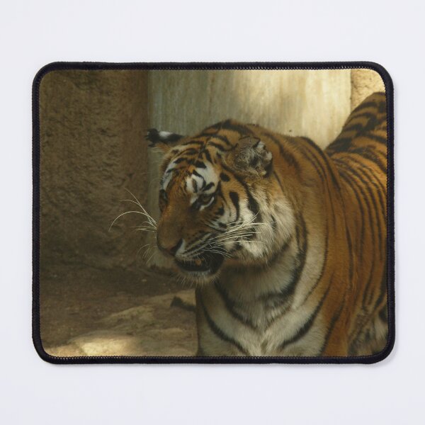 Item preview, Feline beauty designed and sold by Thalia88.