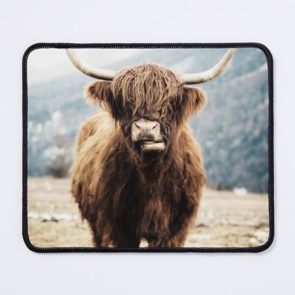 Item preview, Highland Cow Scotland Scottish Art House Gift Original Custom Love Couples Poster Wall Art Tee Design designed and sold by Cool Robot Bro..