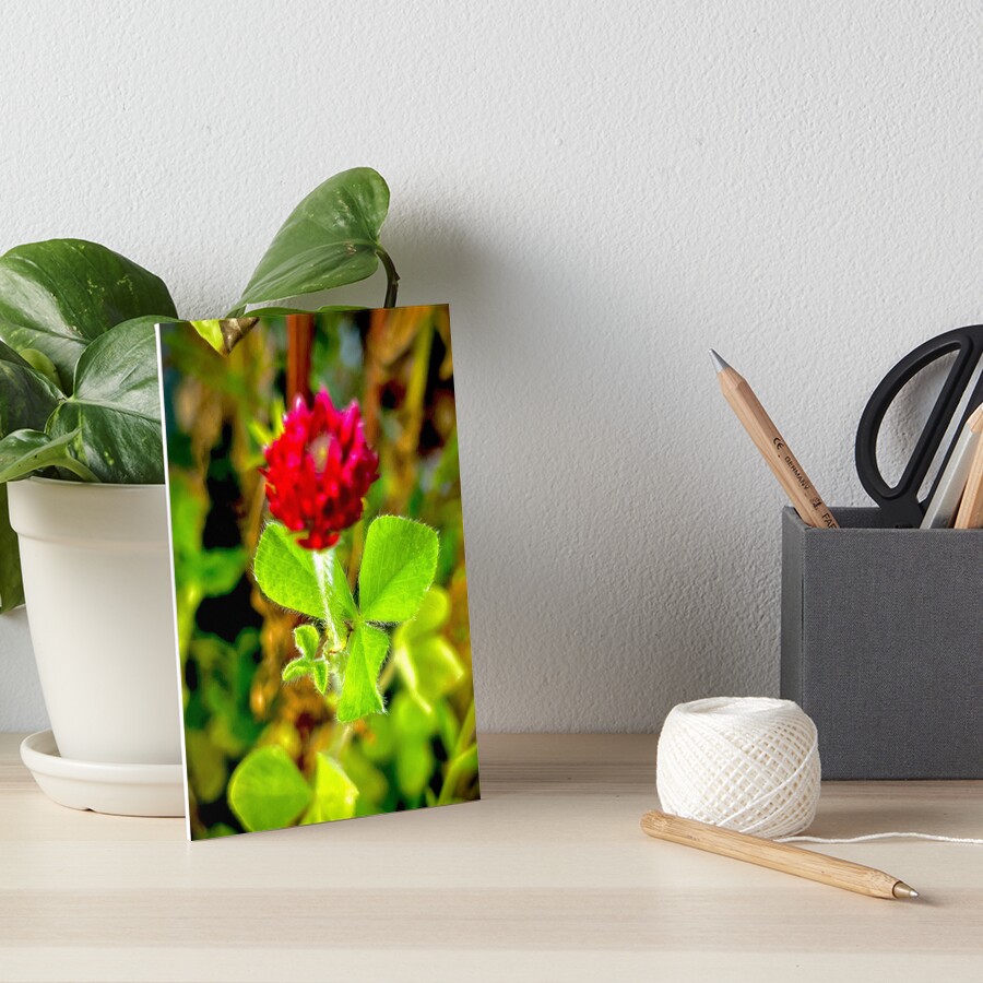 Item preview, Art Board Print designed and sold by Racie596.
