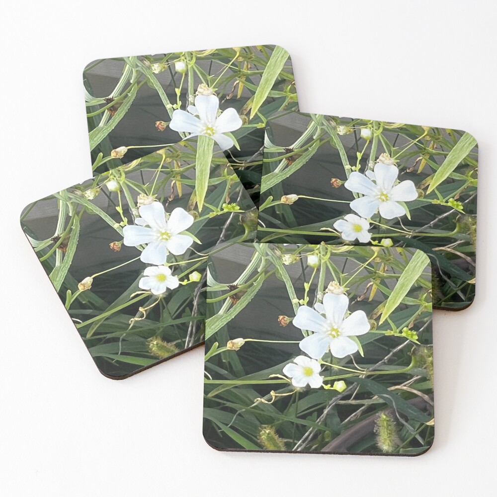 Item preview, Coasters (Set of 4) designed and sold by Racie596.
