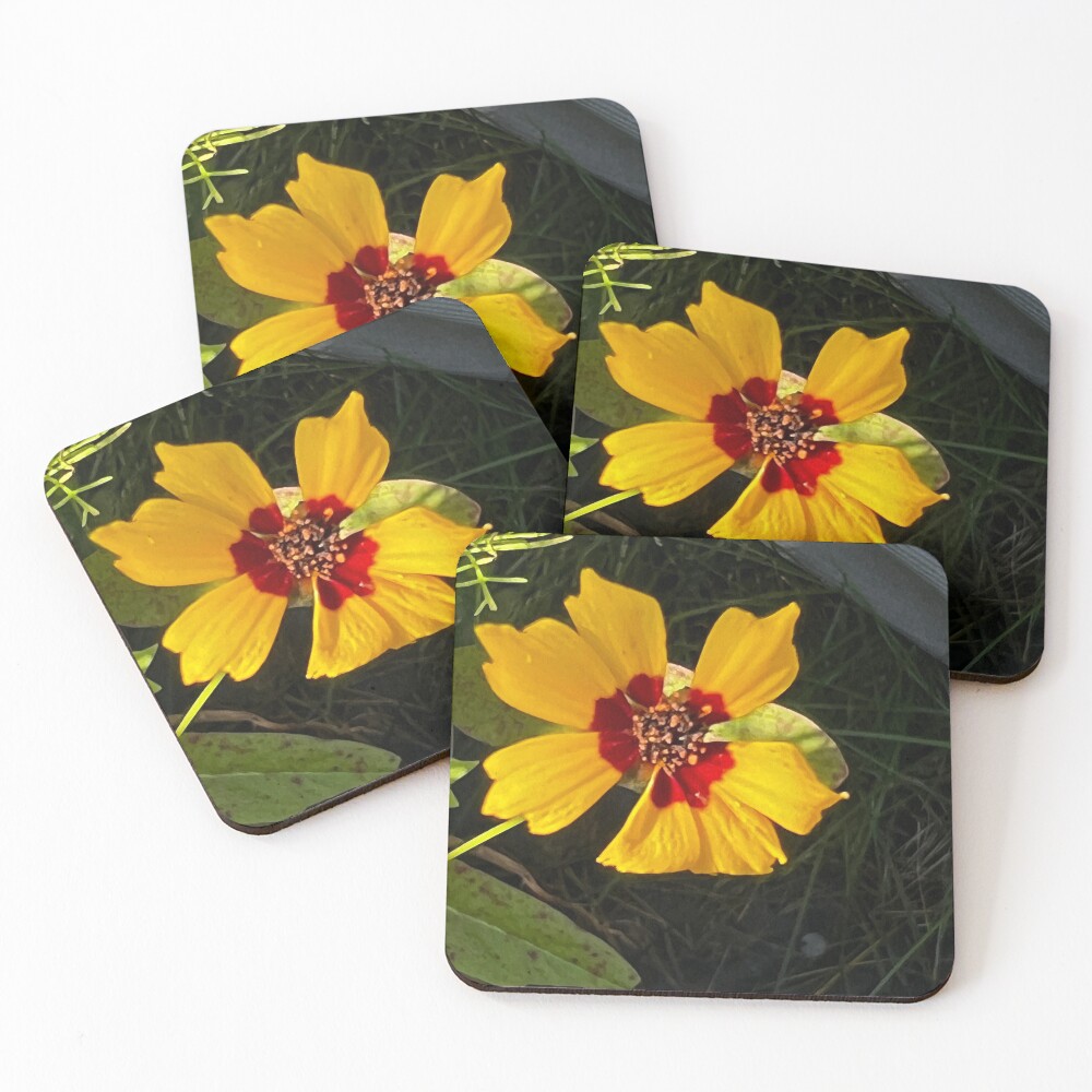 Item preview, Coasters (Set of 4) designed and sold by Racie596.