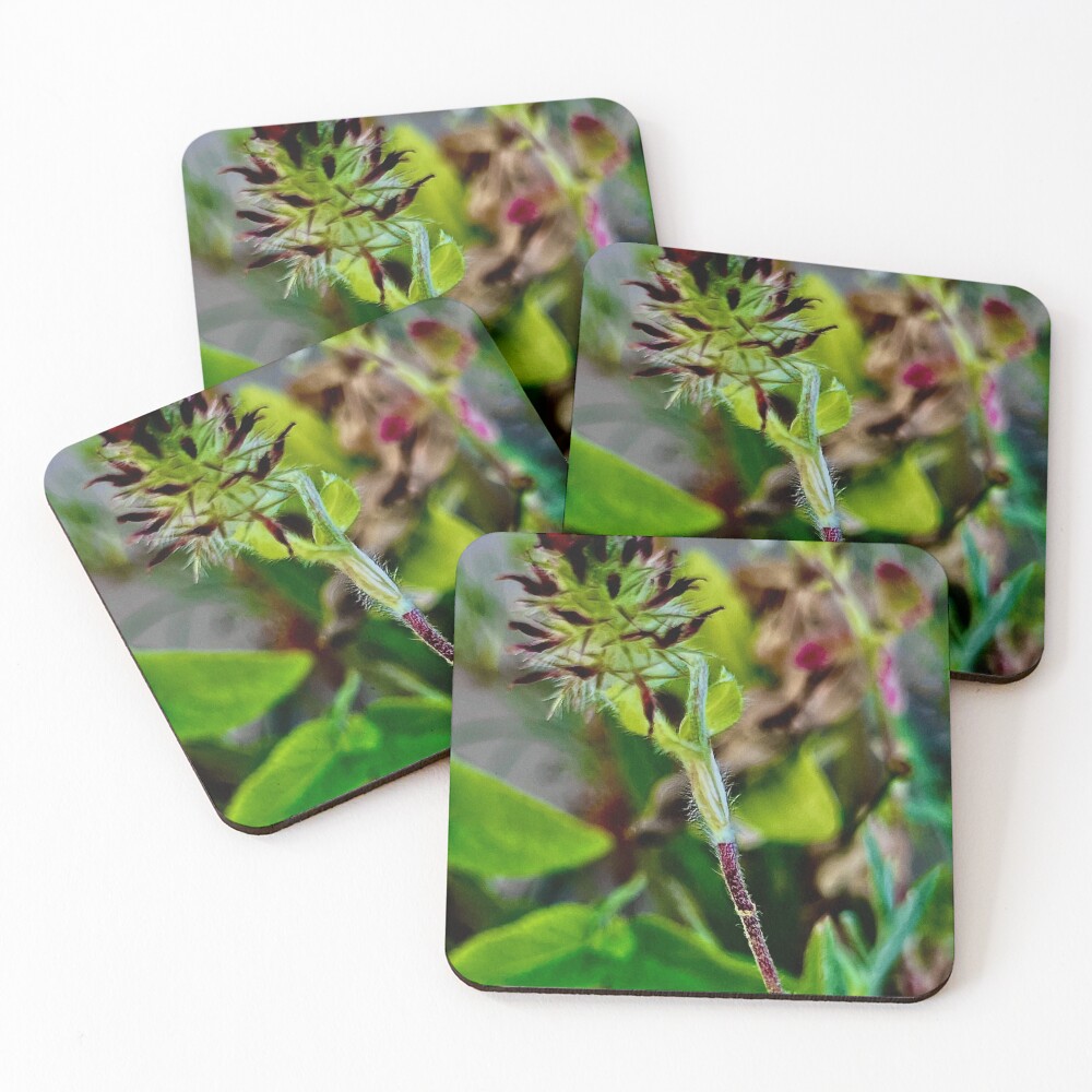 Item preview, Coasters (Set of 4) designed and sold by Racie596.