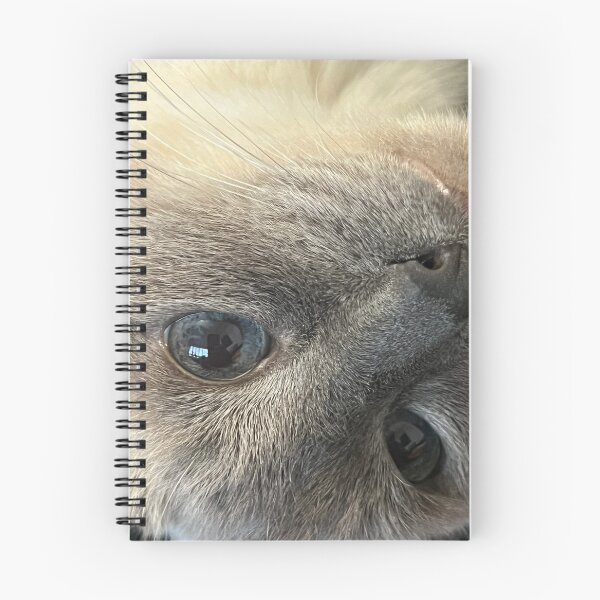 Item preview, Upside-down cat designed and sold by MaBside.