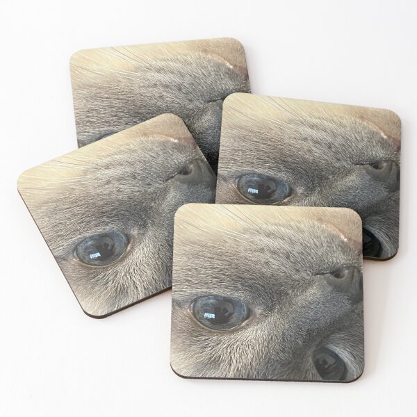 Item preview, Upside-down cat designed and sold by MaBside.