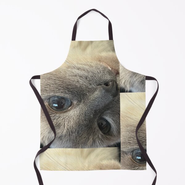Item preview, Upside-down cat designed and sold by MaBside.