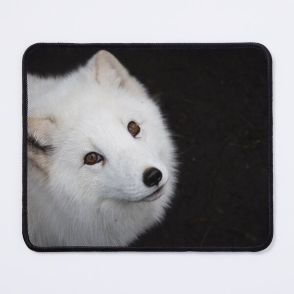 Item preview, Artic fox designed and sold by FrenchyA.