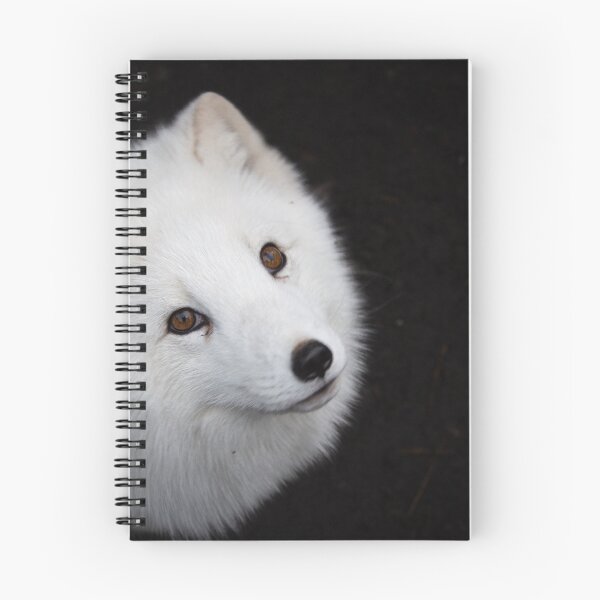 Item preview, Artic fox designed and sold by FrenchyA.
