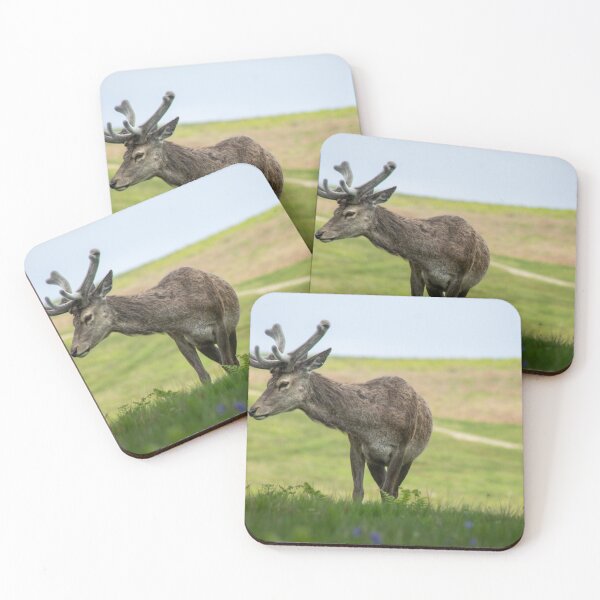 Item preview, Young stag at bradgate park designed and sold by FrenchyA.