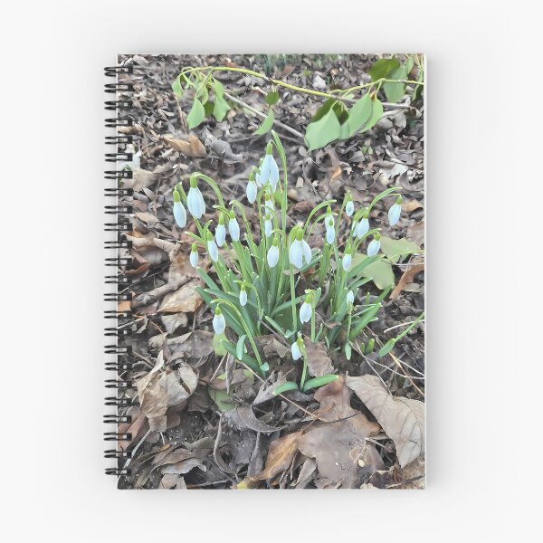 Item preview, Snowdrop waking up designed and sold by Thalia88.