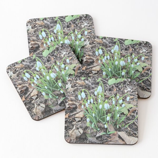 Item preview, Snowdrop waking up designed and sold by Thalia88.