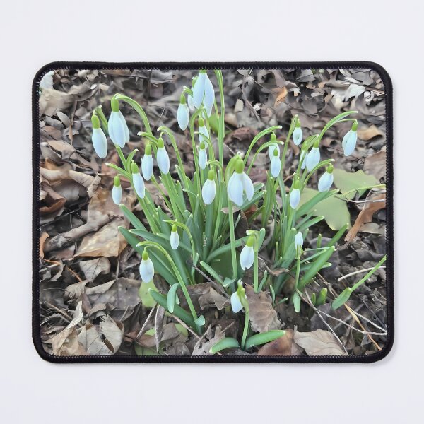 Item preview, Snowdrop waking up designed and sold by Thalia88.