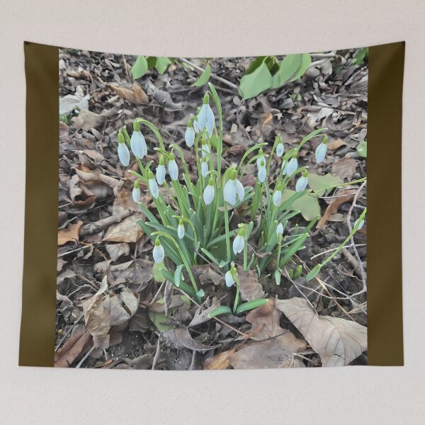 Item preview, Snowdrop waking up designed and sold by Thalia88.