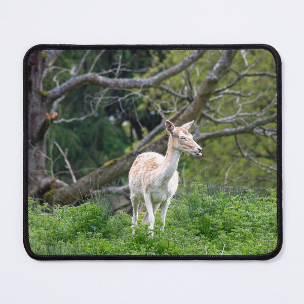 Item preview, Funny doe designed and sold by FrenchyA.