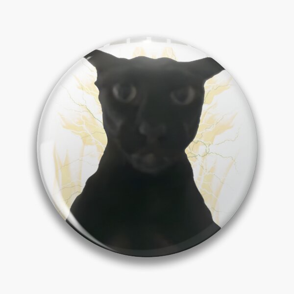 Item preview, Evil Larry Cat Dank Brainrot Meme Art | ⭐⭐⭐⭐⭐ designed and sold by kidgoback.