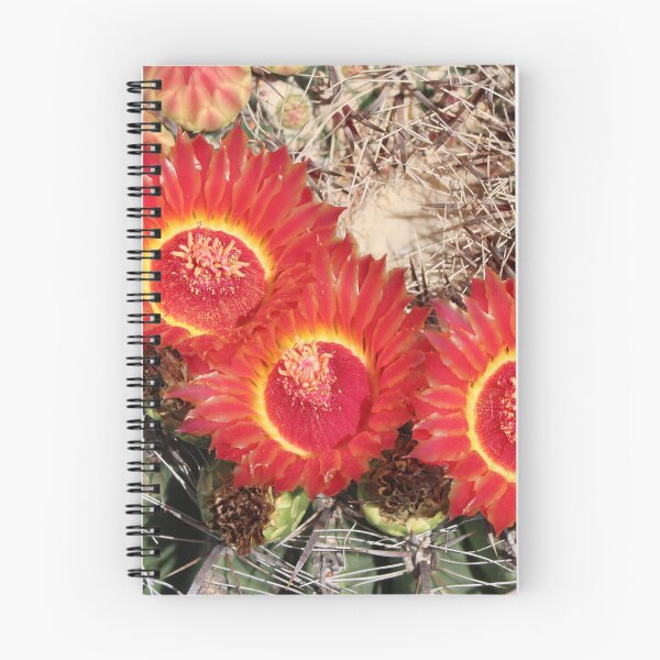 Item preview, Beautiful Lovely Barrel Cactus Flowers designed and sold by simonjayphotos.