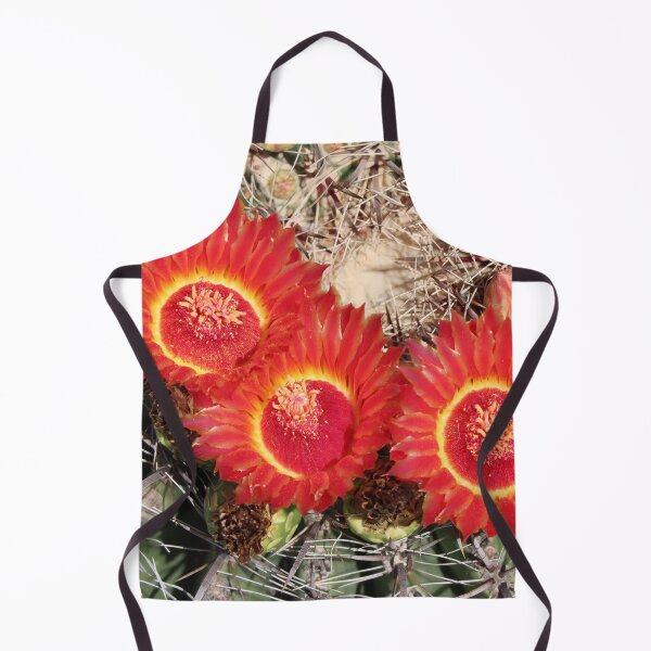 Item preview, Beautiful Lovely Barrel Cactus Flowers designed and sold by simonjayphotos.