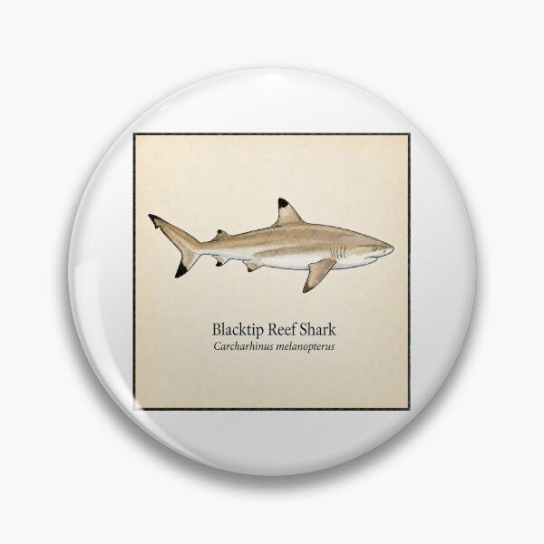 Item preview, Blacktip Reef Shark Vintage Scientific Illustration designed and sold by KenworksDigital.