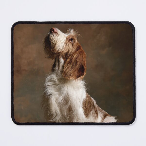 Item preview, Grand Basset Griffon Vendeen Looking Up designed and sold by Elisabeth Lucas.