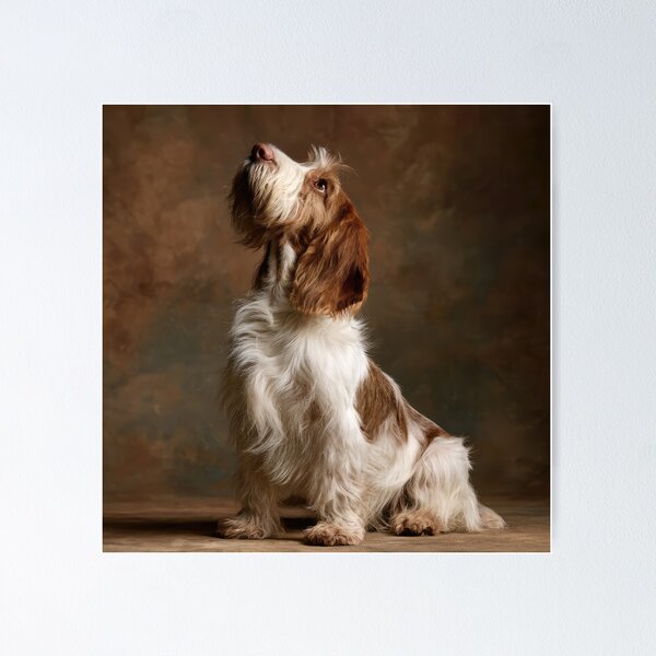 Item preview, Gran Basset Griffon Vendéen mirando hacia arriba designed and sold by Elisabeth Lucas.