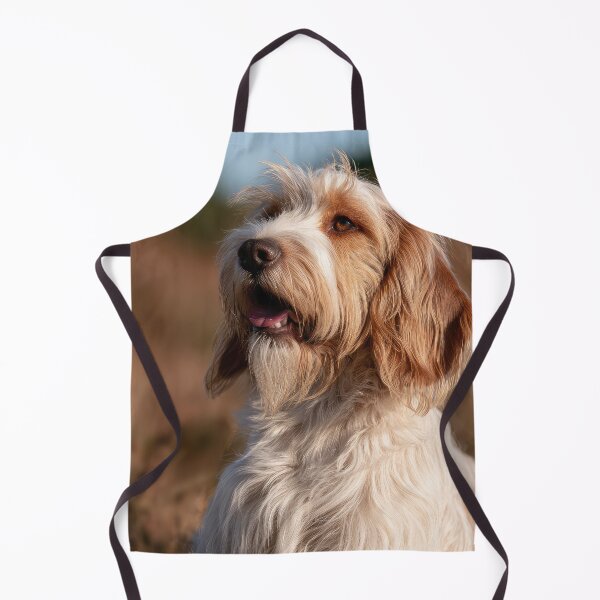 Artikelvorschau, Grand Basset Griffon Vendéen Portrait entworfen und verkauft von Elisabeth Lucas.