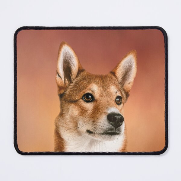 Item preview, Norwegian Lundehund Portrait designed and sold by Elisabeth Lucas.