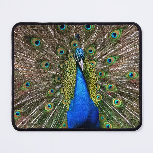 Item preview, Peacock designed and sold by TheArchitect22.