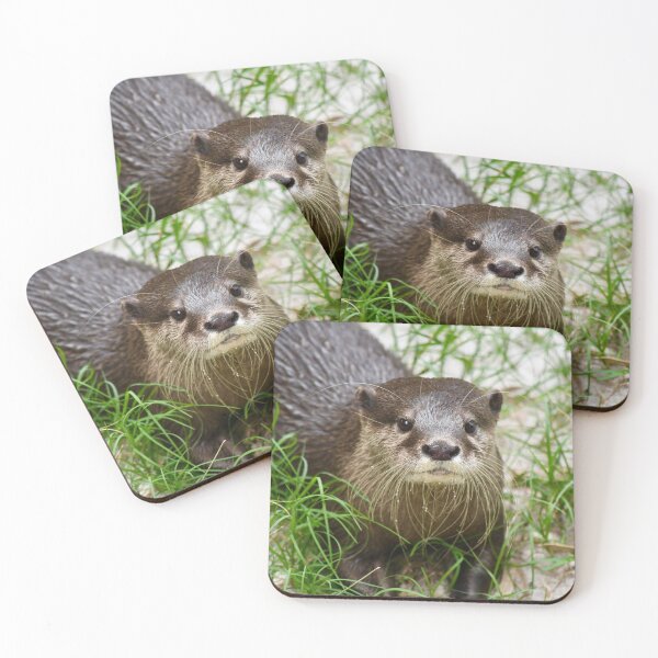 Item preview, Curious Otter in the Grass designed and sold by richardbryce.