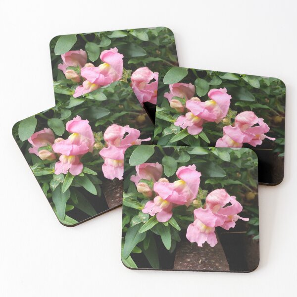Item preview, Storm Drain Snapdragons 3 designed and sold by concretebotany.
