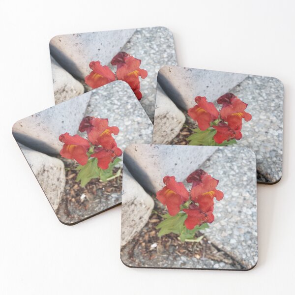 Item preview, Orange Sidewalk Snapdragons designed and sold by concretebotany.