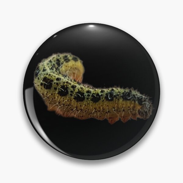 Item preview, Realistic Large White Butterfly Caterpillar (Pieris Brassicae) designed and sold by Yanshuf.