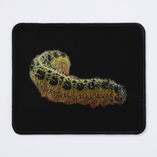 Item preview, Realistic Large White Butterfly Caterpillar (Pieris Brassicae) designed and sold by Yanshuf.