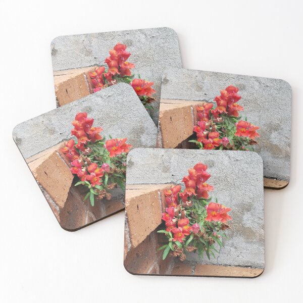 Item preview, Orange Snapdragons Growing Out of Brick Steps designed and sold by concretebotany.