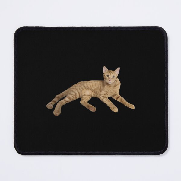 Item preview, Cute Ginger Tabby Cat Lying Down Realistic Photo designed and sold by Yanshuf.