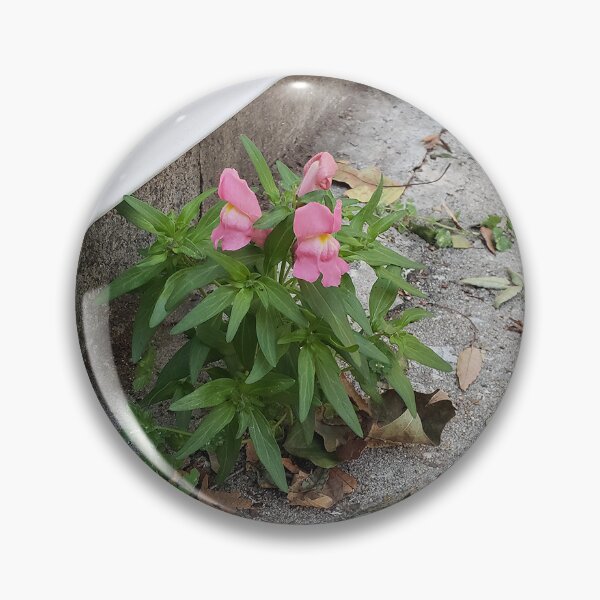 Item preview, Pink Pavementplant Snapdragons designed and sold by concretebotany.