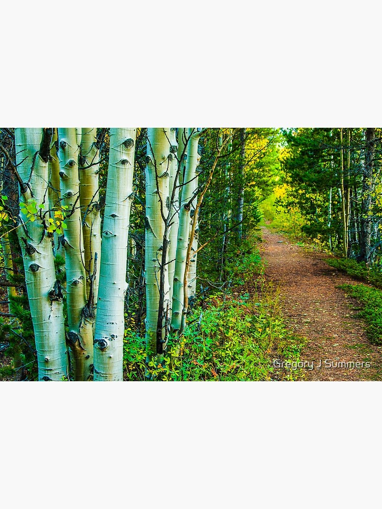 The Way Home by nikongreg