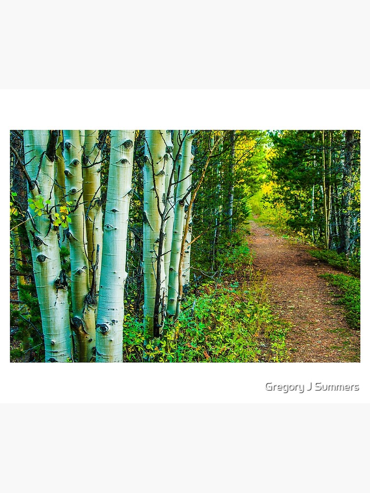 The Way Home by nikongreg