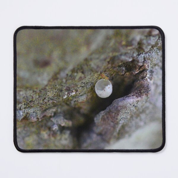 Item preview, Untitled 9 designed and sold by Jodie Cooper.