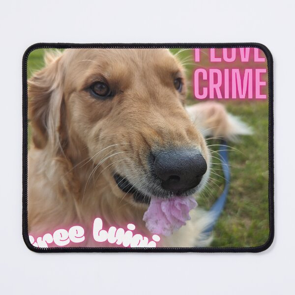 Item preview, Ralphie confesses designed and sold by Literally just a law student.
